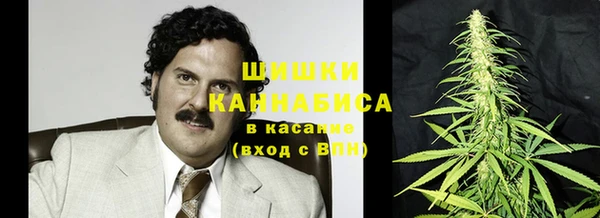 сатива Волосово